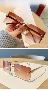 Detail of rimless square sunglasses with gradient lenses and golden leopard head decor