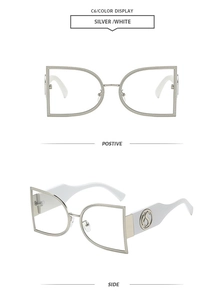 Detail view of butterfly frame glasses featuring silver metal rims and side logo