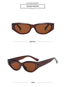 Detail of vintage cat-eye sunglasses with brown resin frame and silver metal rivets