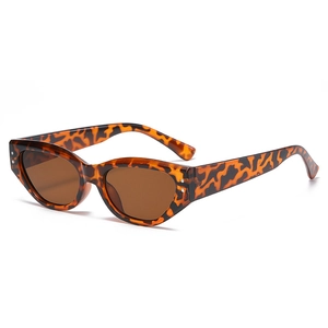 Modern retro cat-eye sunglasses with tortoiseshell frame and silver rivet accents