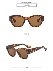 Detail of demi-tea sunglasses showing tortoise shell frames and decorative metal rivets