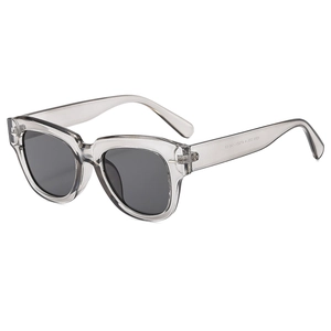 Lunettes de soleil rétro classiques avec monture grise transparente et verres foncés