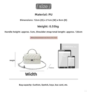 Spécifications de taille pour le sac à bandoulière matelassé avec chaîne en argent