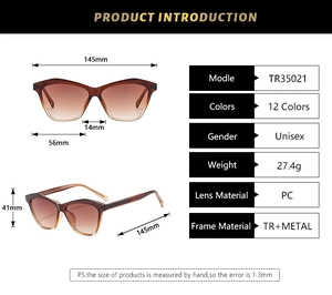 Detailed size chart for polygon sunglasses with frame dimensions and technical specs