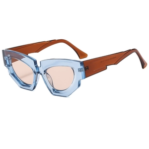 Geometric Cat Eye Sunglasses PC Frame AC Lens UV400 Protection Irregular Fashion Streetwear Eyewear Unisex