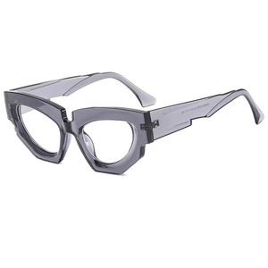 Trend cat-eye geometric sunglasses with thick transparent gray frames for street style