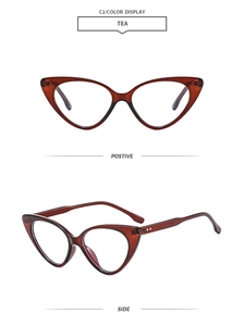 Detail of vintage tea-colored cat-eye glasses frame with metal hinge and side view