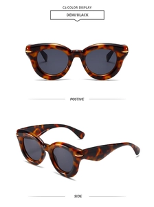 Close-up of demi oval sunglasses featuring thick frames and golden metal decorative hinges