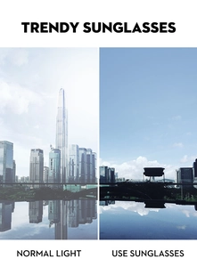 Polarized lens effect showing city building glare reduction in blue filter mode
