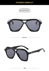 Detail view of large frame sunglasses with silver wing-shaped metal ornaments on temples