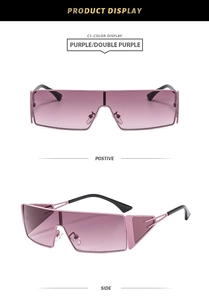 Détail des verres dégradés violets et montures métalliques, profils avant et côté