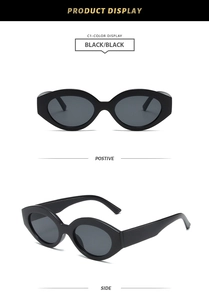 Macro detail of retro oval black sunglasses showing front and side temple views