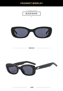 Front and side view of oval black sunglasses with silver star detail on the temples
