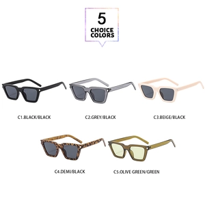 Detailed array of square frame sunglasses showing black, grey, beige, tortoise, and green options