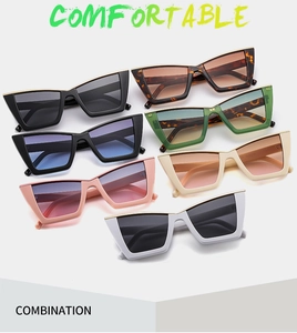 Collection of oversized cat eye sunglasses with gold trim in various frame colors