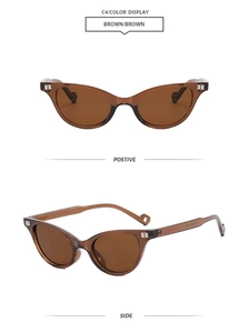 Detail view of cat eye sunglasses with brown transparent frame and silver B logo