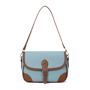 Minimalist light blue pebble leather shoulder bag with brown trim and vintage buckle
