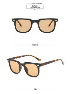 Detail view of square black frame sunglasses with champagne lenses and tortoise temples