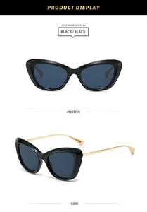 Detail view of stylish cat-eye sunglasses with thick black frames and gold metal temples