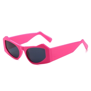 Occhiali da sole cat-eye rosa neon all'avanguardia con montatura geometrica e lenti scure
