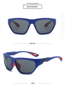 Detailansicht der blauen Sportsonnenbrille mit roten Gummipolstern und Polgläsern