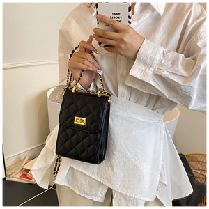 Detailed close-up of quilted chain bag with gold twist-lock and woven leather strap