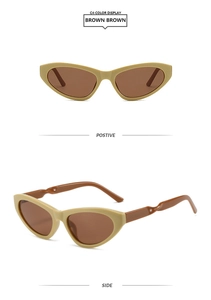 Detail view of beige cat-eye sunglasses with twisted texture on the brown temple arms