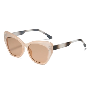 Occhiali Da Sole Occhio Di Gatto Da Donna Stile INS Vintage Retro Montatura PC Protezione UV400 Moda Streetwear Viaggio