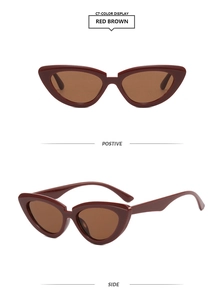 Detailansicht der Vorder- und Seitenansicht einer rotbraunen Cat-Eye-Sonnenbrille mit Rahmen