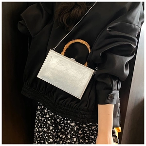 Detail of silver metallic box bag with vintage bamboo handle and chain strap on model