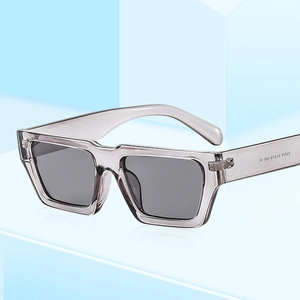 Lunettes de soleil rétro carrées avec monture taupe translucide et verres gris foncé