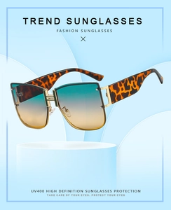 Macro view of oversized tortoiseshell sunglasses with gold H-logo and UV400 gradient lenses