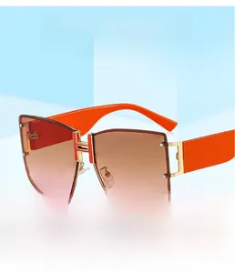 Detail of luxury fashion sunglasses featuring orange temples and gold H logo bridge