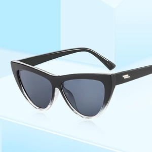 Fashionable cat-eye sunglasses with black and transparent frames and silver metal accents