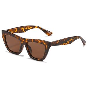 Retro cat-eye tortoiseshell sunglasses with brown lenses and wide faceted temples