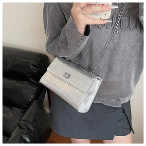 Detailed view of silver crocodile pattern handbag with metallic chain strap and twist lock