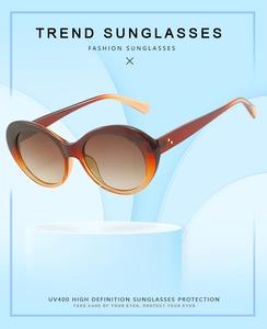 Detail of vintage tortoise shell sunglasses frame with gold rivet accents and UV400 lens