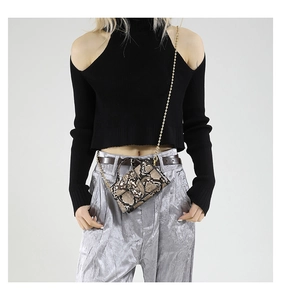 Detail of snake print crossbody bag with gold chain strap and mini top handle
