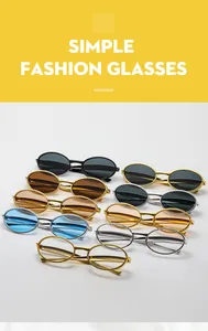 Vue détaillée des lunettes de soleil ovales en métal avec diverses couleurs de verres