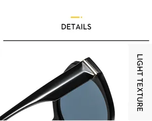Vue détaillée des lunettes de soleil noires avec accents métalliques dorés sur les branches