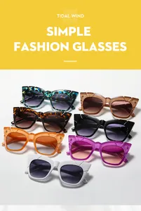 Detailed view of cat eye sunglasses showing various colors and geometric frame styles