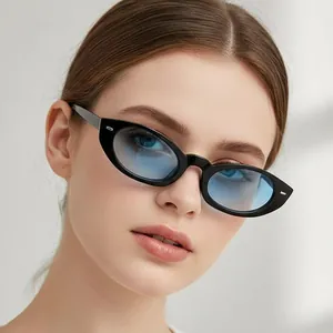 Cat Eye Sonnenbrille Retro Vintage Kleiner Rahmen PC AC Gläser UV400 Outdoor Mode Reise Brillen Damen Herren Streetwear