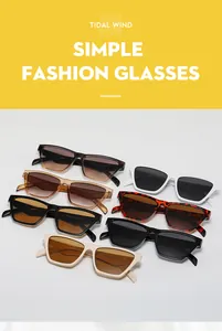 Detailed collection of square sunglasses in seven colors including black and tortoiseshell