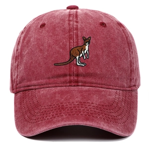 Detailed view of the embroidered kangaroo patch and vintage washed fabric texture on the cap