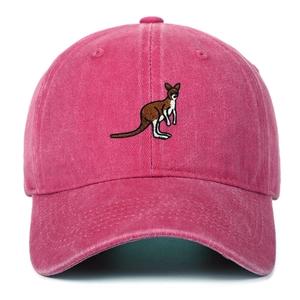 Macro view of kangaroo embroidery detail on washed pink vintage cotton baseball cap