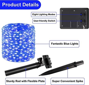 Detailed set of solar LED string lights with control box, stake, and blue wire lights