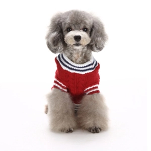 Red knit pet sweater with striped collar on a grey poodle, warm winter dog apparel