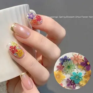 Ultrathin natural dried flower nail art set showing vibrant petals and application effect