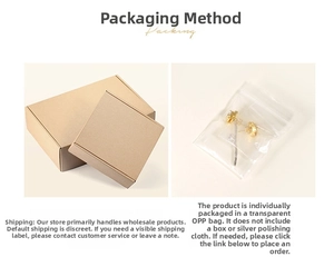Detailed view of jewelry packaging options including kraft boxes and OPP bags