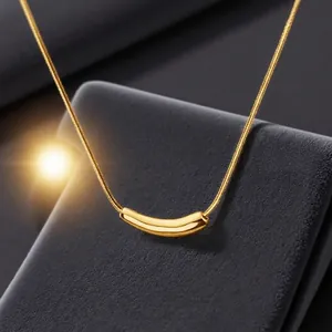 Minimalist Titanium Steel Curved Tube Pendant Necklace Women 18K Gold Plated Elegant Snake Bone Chain Clavicle Jewelry